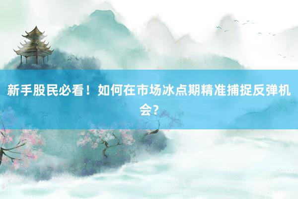 新手股民必看!如何在市场冰点期精准捕捉反弹机会?