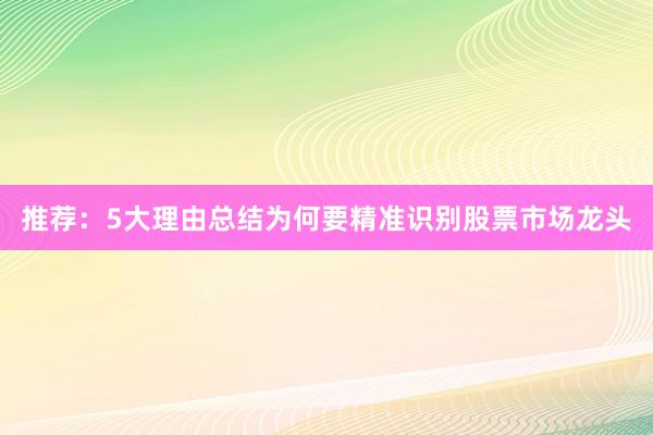 推荐:5大理由总结为何要精准识别股票市场龙头