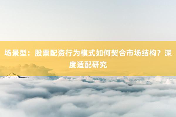 场景型：股票配资行为模式如何契合市场结构？深度适配研究