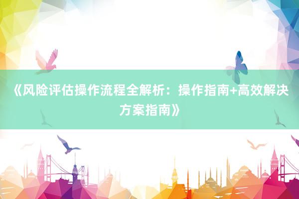 《风险评估操作流程全解析：操作指南+高效解决方案指南》