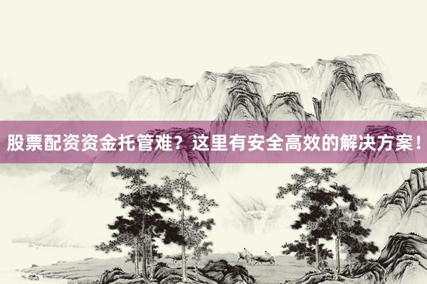 股票配资资金托管难?这里有安全高效的解决方案!